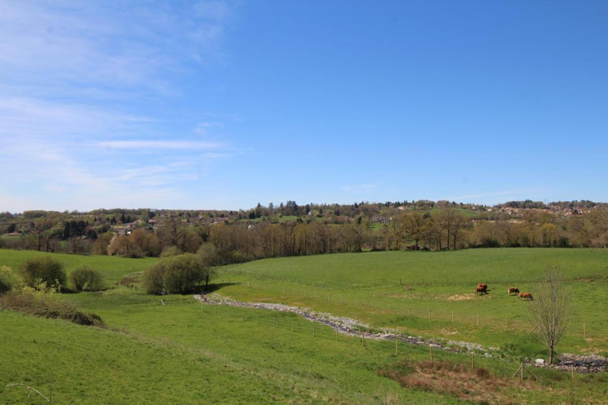 Condat-sur-Vienne Chez Le Bayle 빌라 외부 사진